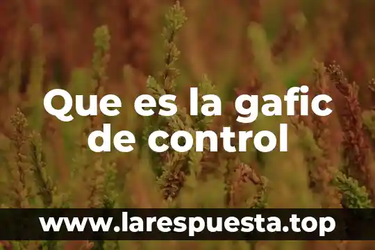 Que es un control separado 4 Que es la gafic de control