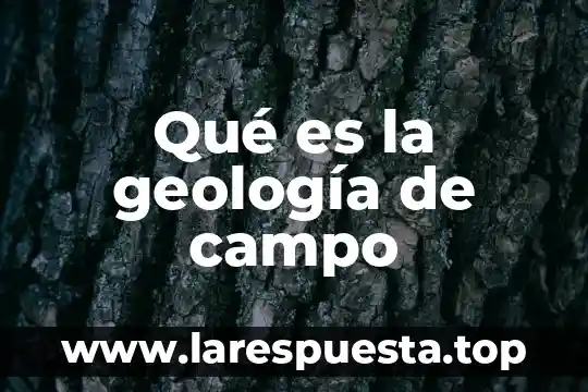 Qué es la geología de campo