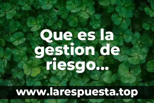 Que es un punto de riesgo 7 Que es la gestion de riesgo financiero