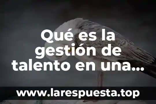 Que es un plan de carrera gestion de talento 5 Qué es la gestión de talento en una empresa
