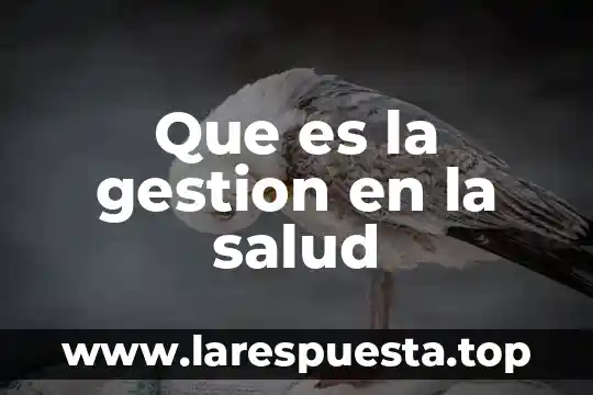 Que es la nueva salud publica 6 Que es la gestion en la salud