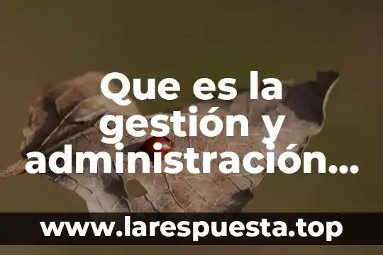 Qué es un regidor de obras públicas 4 Que es la gestión y administración en las bibliotecas públicas