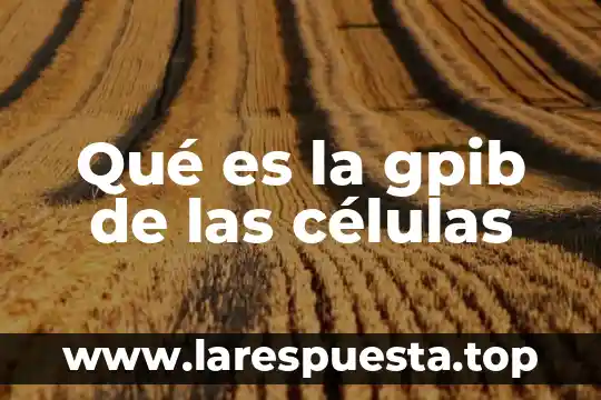 Qué es la gpib de las células