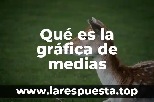 Qué es la gráfica de medias