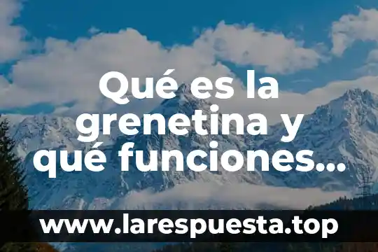 Que es el sitwifi y que costo tiene 8 Qué es la grenetina y qué funciones tiene