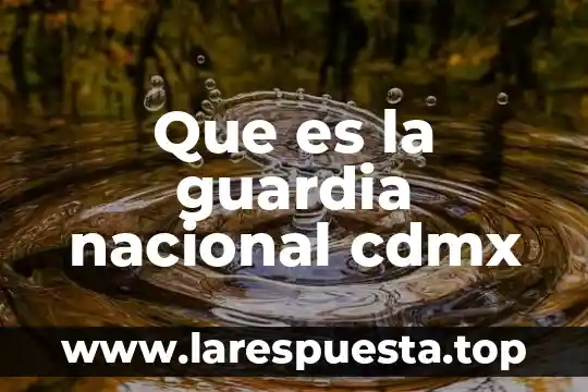 Qué es el numerario nacional 7 Que es la guardia nacional cdmx