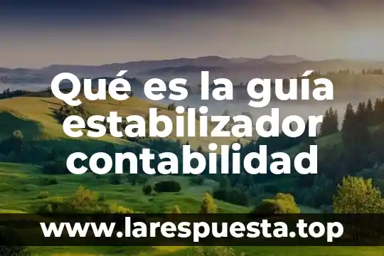 Qué es la guía estabilizador contabilidad