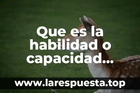 Como se puede proteger una persona que es sanadora y absorbe todo 6 Que es la habilidad o capacidad física