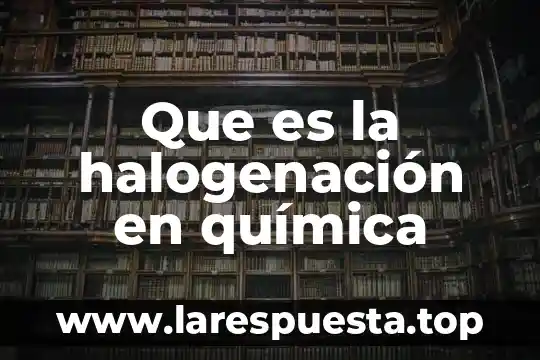 Que es un testigo en derecho 6 Que es la halogenación en química