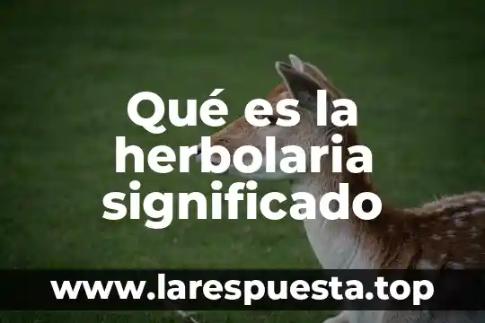 Qué es SMED significado 7 Qué es la herbolaria significado