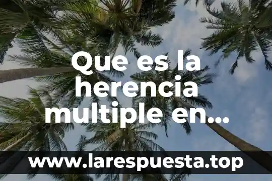 Que es la programación y sus aplicaciones 8 Que es la herencia multiple en programacion