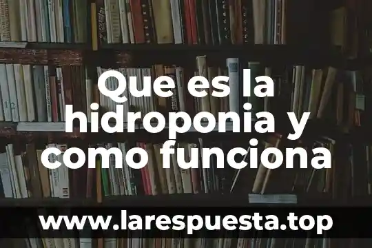 Que es y como funciona termonathor 6 Que es la hidroponia y como funciona