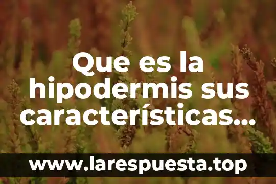 Que es e learning caracteristicas 5 Que es la hipodermis sus características y funciones