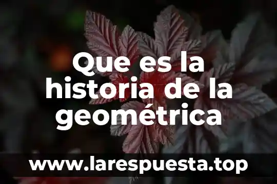 Que es la historia de la geométrica
