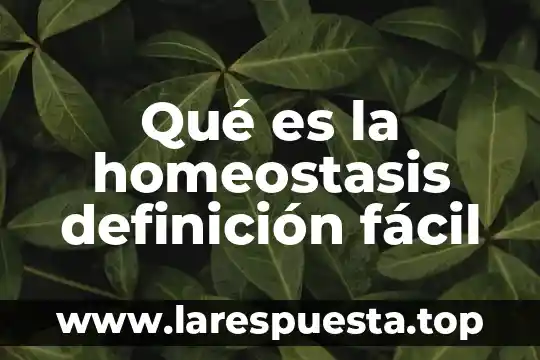 Qué es la homeostasis definición fácil