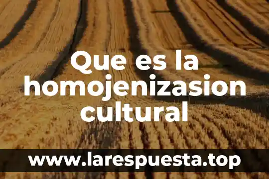 Que es la homojenizasion cultural