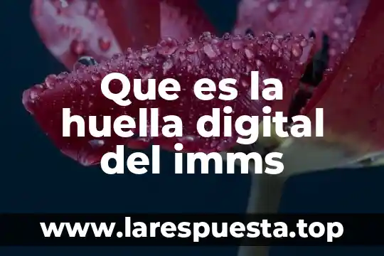 Que es la huella digital del imms