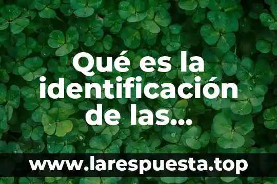 Qué es la identificación de las diferentes en artes visuales