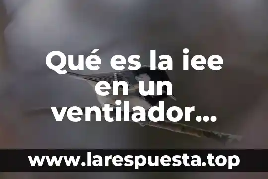 Que es el marco de ventilador 7 Qué es la iee en un ventilador mecánico
