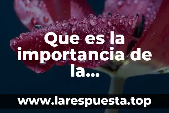 Que es delimitacion de espacio y tiempo en tesis 8 Que es la importancia de la investigacion en una tesis