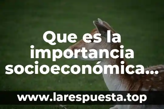 Que es superestructura en estructura socioeconomica 6 Que es la importancia socioeconómica de la agricultura