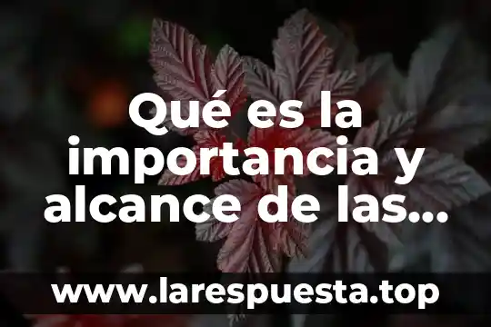 Que es la importancia teórica 6 Qué es la importancia y alcance de las TICs en entretenimiento