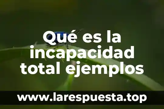 Qué es un salario integro en una incapacidad por maternidad 4 Qué es la incapacidad total ejemplos