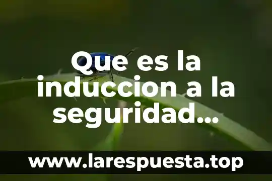 Proceso de inducción que es 6 Que es la induccion a la seguridad industrial