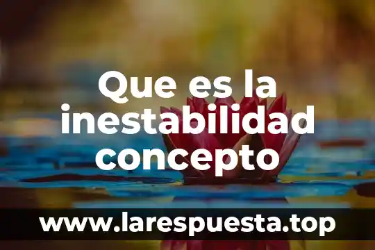 Que es la inestabilidad concepto