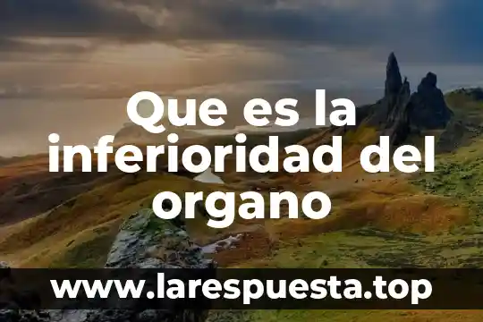Que es organo circunventricular 5 Que es la inferioridad del organo