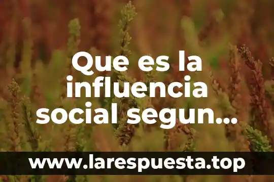 Influencia de marca que es 7 Que es la influencia social segun autores