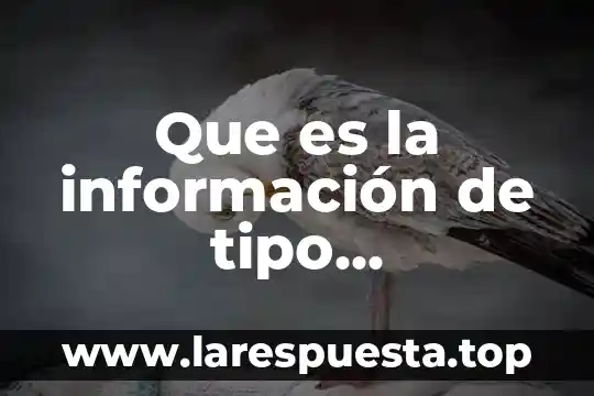 Que es la información de tipo deterministico