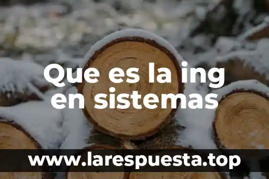 Que es un inventario de sistemas 5 Que es la ing en sistemas