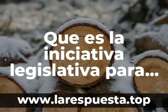 Que es iniciativa de trabajo 3 Que es la iniciativa legislativa para niños