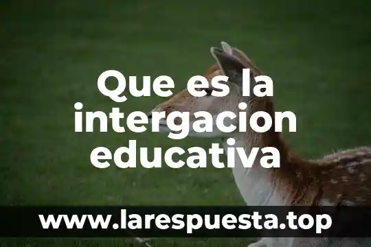 Que es ambito de gestion educativa 3 Que es la intergacion educativa