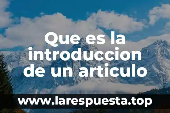Qué es la atención artículo 3 Que es la introduccion de un articulo