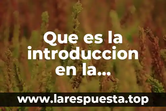 Que es la introduccion en la educacion fisica