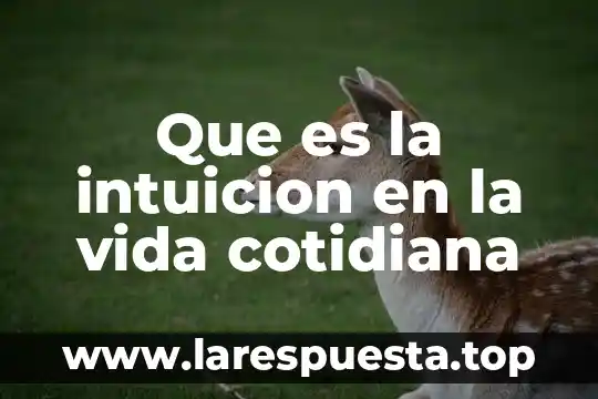 En filosofía que es intuición 6 Que es la intuicion en la vida cotidiana