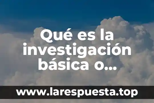 Que es derecho fundamental segun miguel carbonel 5 Qué es la investigación básica o fundamental