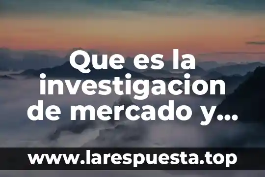 Que es la investigacion de mercado y sus elementos