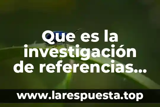 Que es un proyecte de investigacion 4 Que es la investigaci贸n de referencias laborales