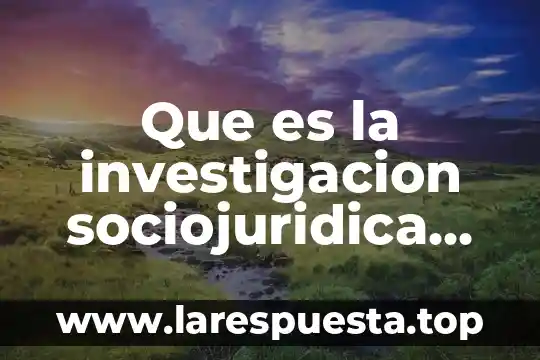 Que es la investigacion sociojuridica segun autores