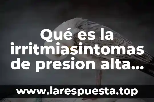 Que es moda hombres y mujeres 5 Qué es la irritmiasintomas de presion alta en hombres