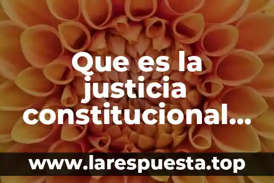 Que es la justicia constitucional segun autores