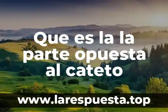 Que es la la parte opuesta al cateto