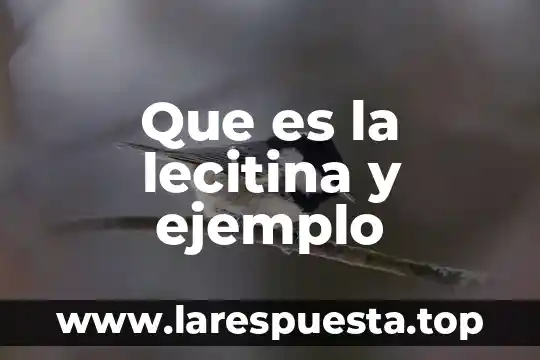 Que es la lecitina y ejemplo