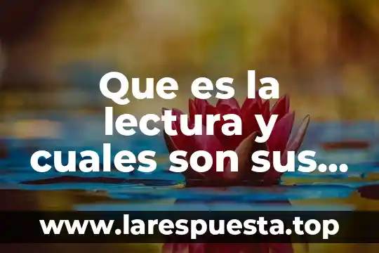 Que es la ofimatica y cuales son sus herraminetas 6 Que es la lectura y cuales son sus tipos