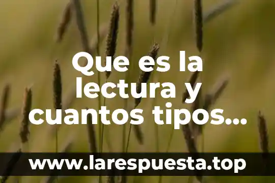 Que es la lectura y cuantos tipos hay
