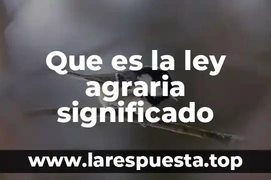 Que es la ley agraria significado
