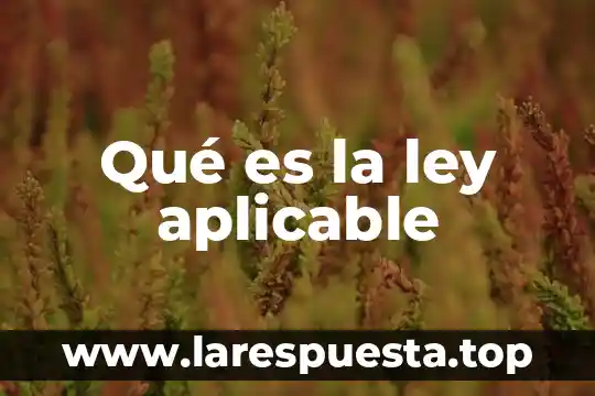 Qué es la ley aplicable